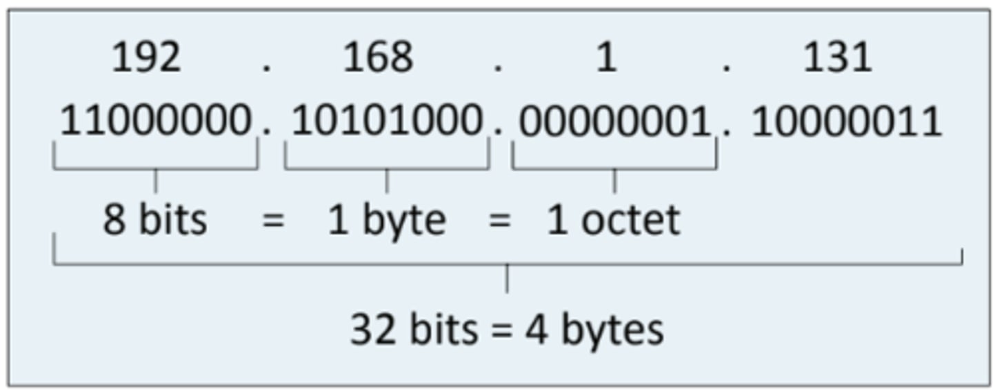 knowt flashcard image