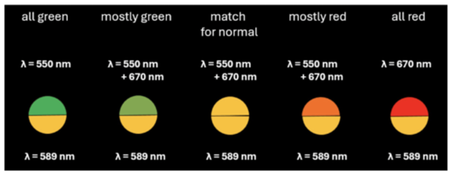<p>two lights that have different spectral composition, but appear identical to each other</p><p>image - middle</p>