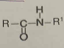<p>amide</p>