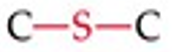 <p>R–S–R (sulfur atom bonded to two carbons).</p>