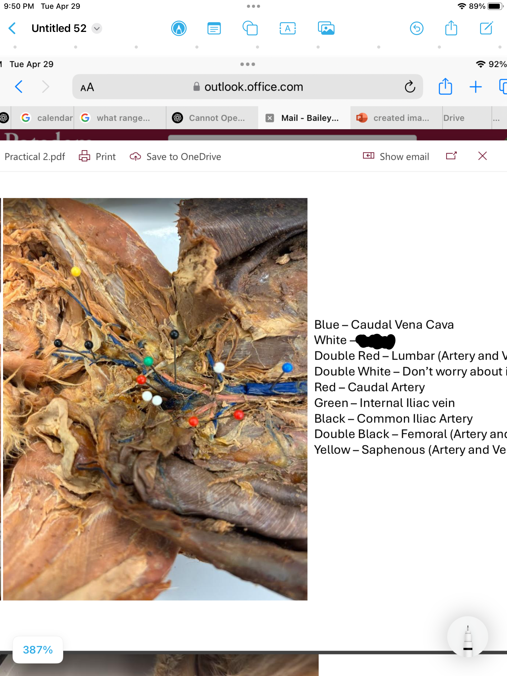 <p>label the area</p>