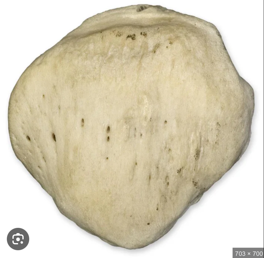 <p>what is this? Left or right?</p>