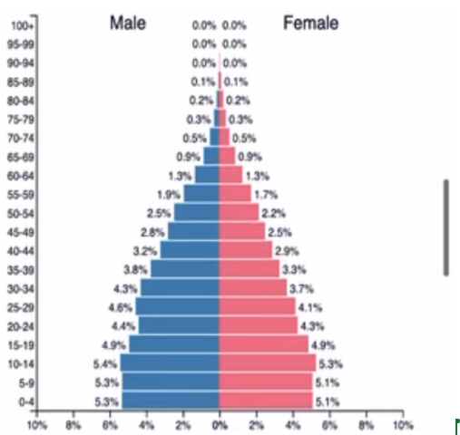 <p>What stage is this population pyramid in? EXPLAIN YOUR REASONING. <mark data-color="#NaNNaNNaN" style="background-color: #NaNNaNNaN; color: inherit">ESSAY ISH QUESTION</mark></p>