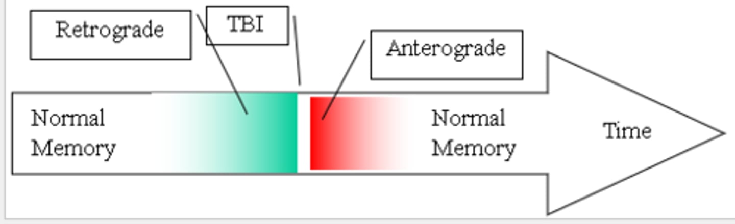 <p>•Can be caused by Electro Convulsive Therapy, Hypothermia, Concussion, Infection, Tumor, Lesion</p><p>•Anterograde Amnesia: the inability to store new long-term memories that occurs after an amnesia inducing event.</p><p>•Retrograde amnesia: the loss of memory for events that occurred prior to the amnesia inducing event.</p>