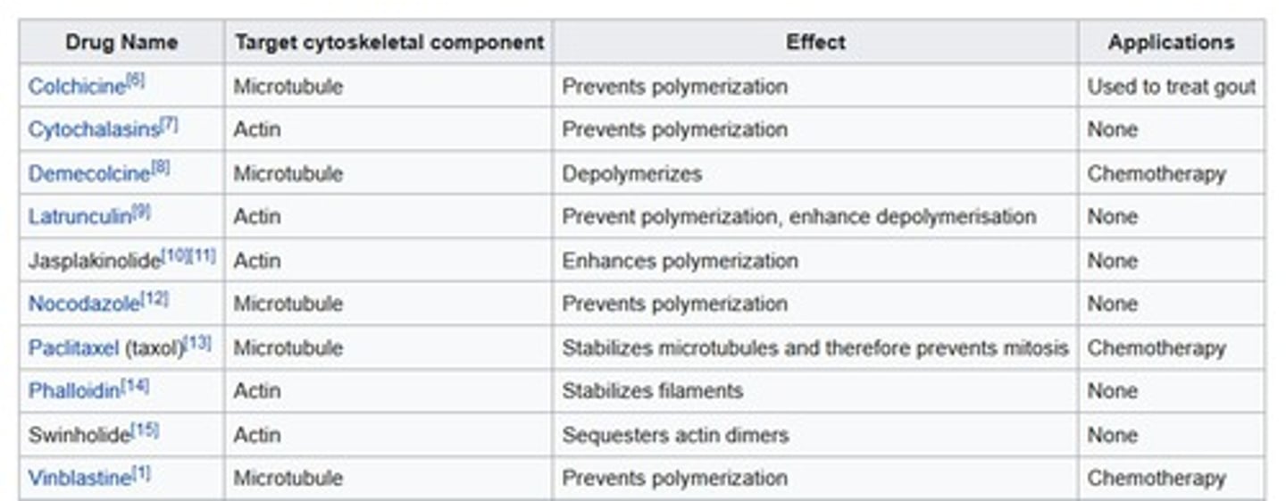 <p>Depolymerizers and stabilizers.</p>