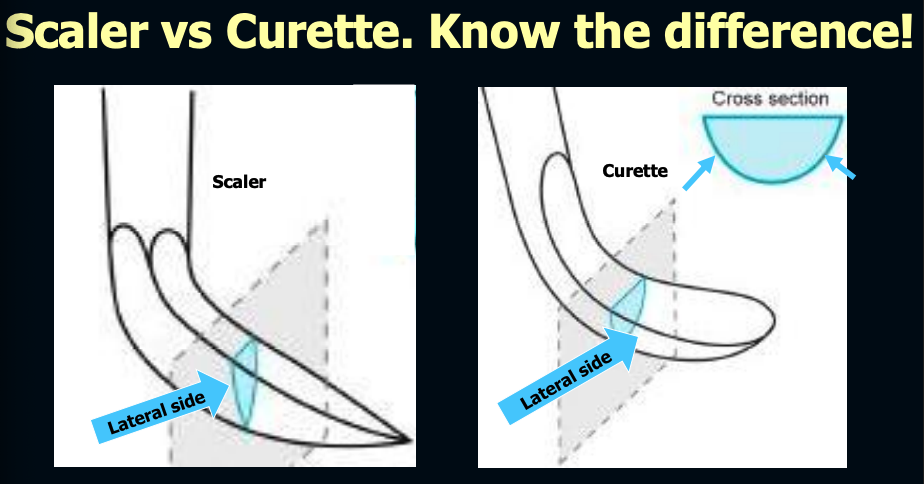 <p>scaler = comes to point at tip</p><p>curette = rounded at the toe and back</p>