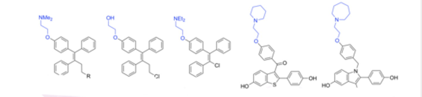<p>You can recognize a ___ due to the drugs containing a basic bulky amine</p>