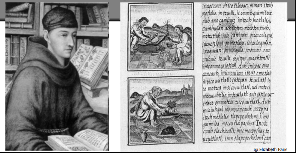 <p><span style="background-color: transparent;">&nbsp;14 volume chronicle, covers lots and lots of stuff- had sons of nobility (kidnapped?) and would just get them to tell them about various things, draw a picture and then write about it </span></p><p><span style="background-color: transparent;">wrote the florentine codex </span></p>