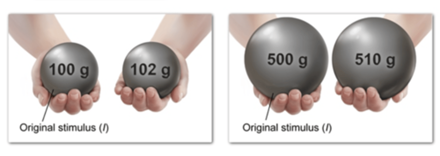 <p>Smallest change in the intensity of a stimulus that we can detect</p>