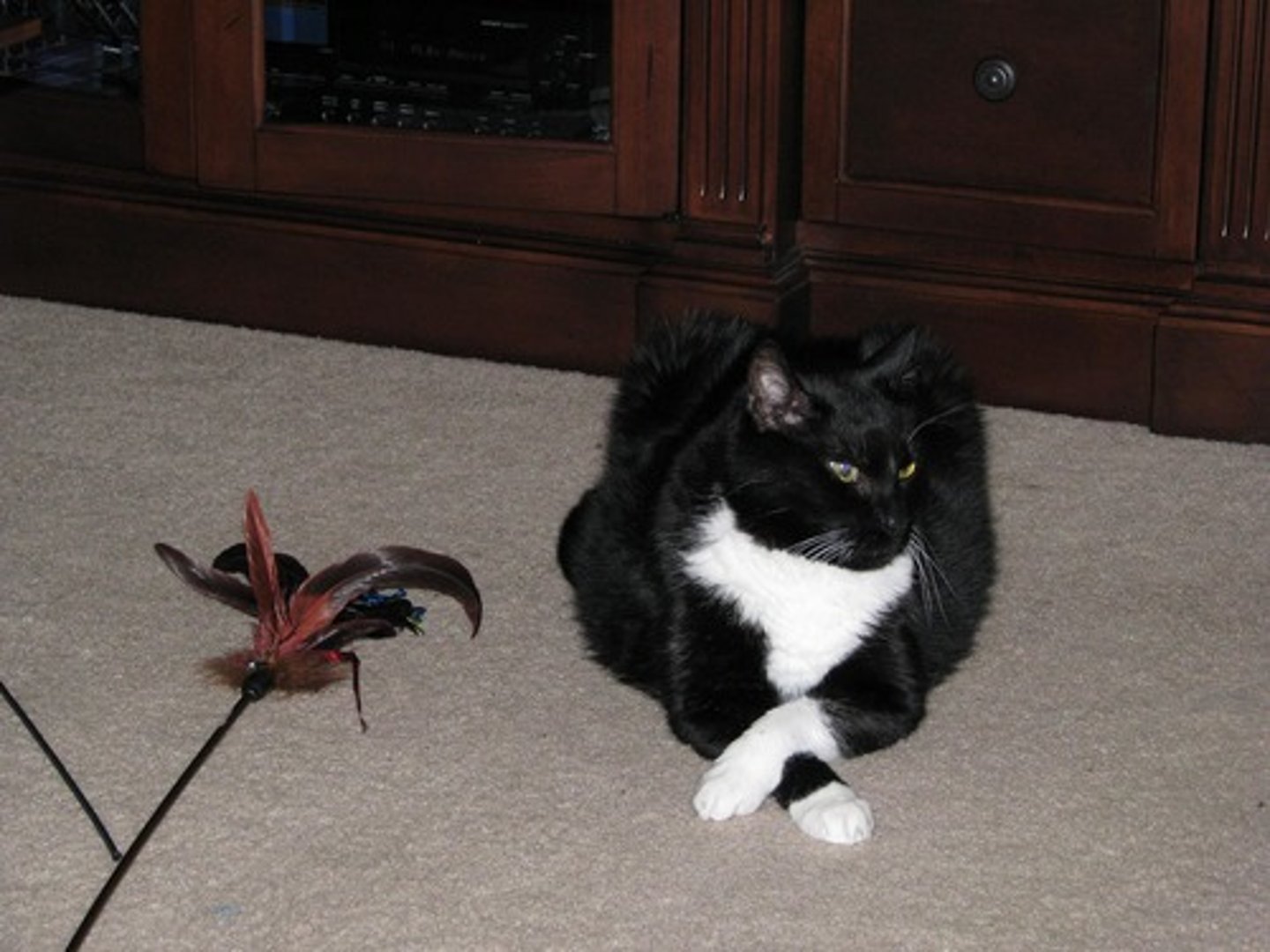 <p>not friendly or forthcoming; cool and distant</p>