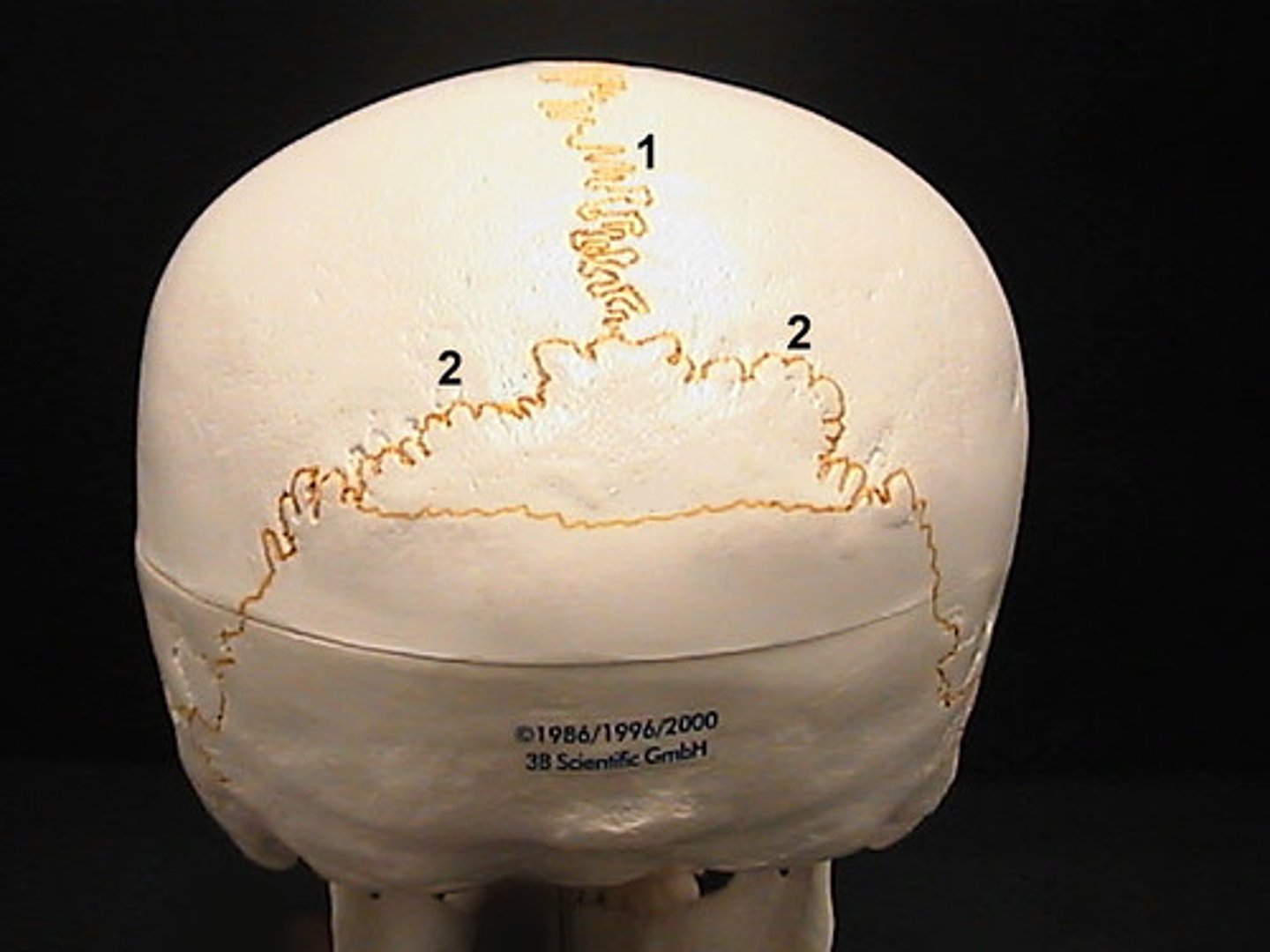 <p>2</p>
