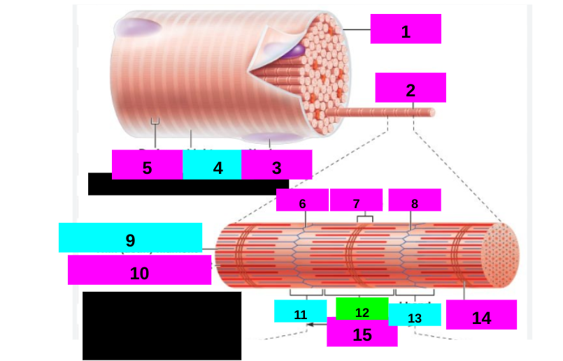 <p>11</p>