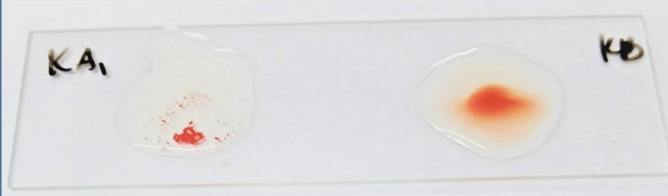 <p>Identify the:</p><ul><li><p>Blood Group</p></li><li><p>Antibody/Antibodies Present</p></li><li><p>Antigen(s) Present</p></li></ul><p></p>