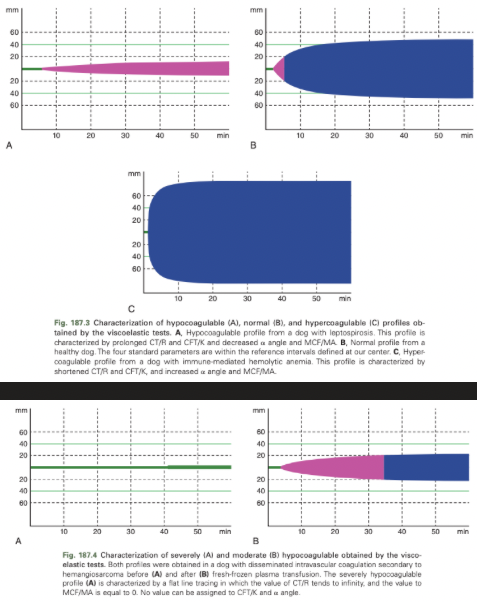 <p>Prolonged CT/R or CFT/K or decreased a angle or MCF/MA</p>