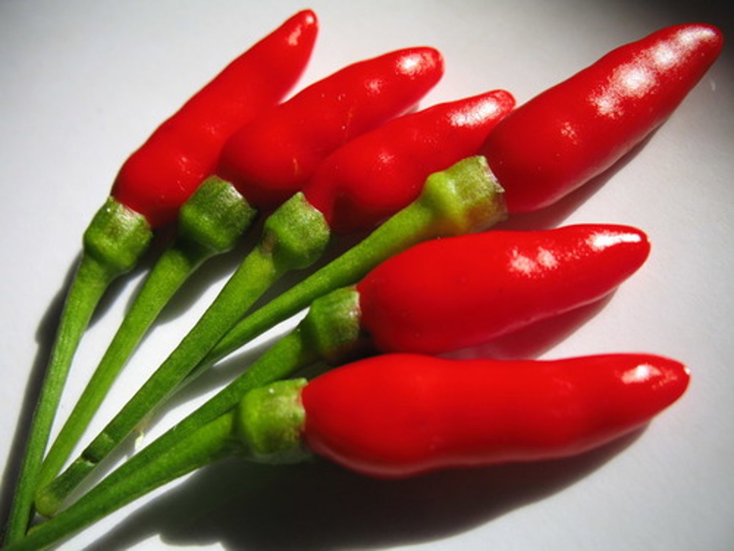 <p>Spicy</p>