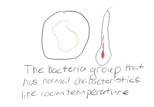<p>The group that provides a baseline for comparison of the effects of the independent variable on the dependent variable.</p>