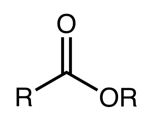 <p>Ester</p>