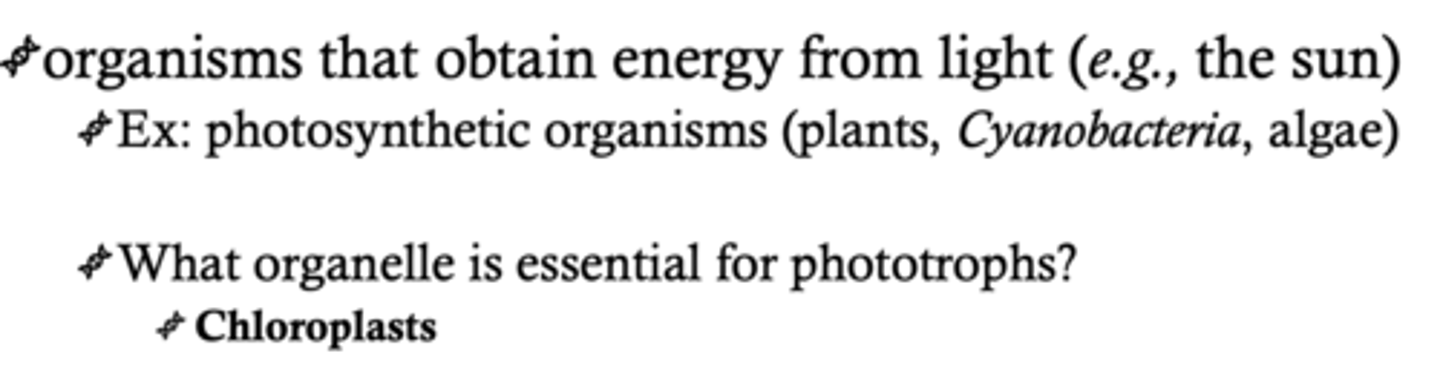 <p>organisms that obtain energy from chemicals (e.g., humans, some bacteria, some archaea)</p><p>deep sea vent, where archaeal cells thrive (heat, pressure).</p><p>Energy source = inorganic chemicals</p><p>Carbon source = CO2 or other related carbon source</p>