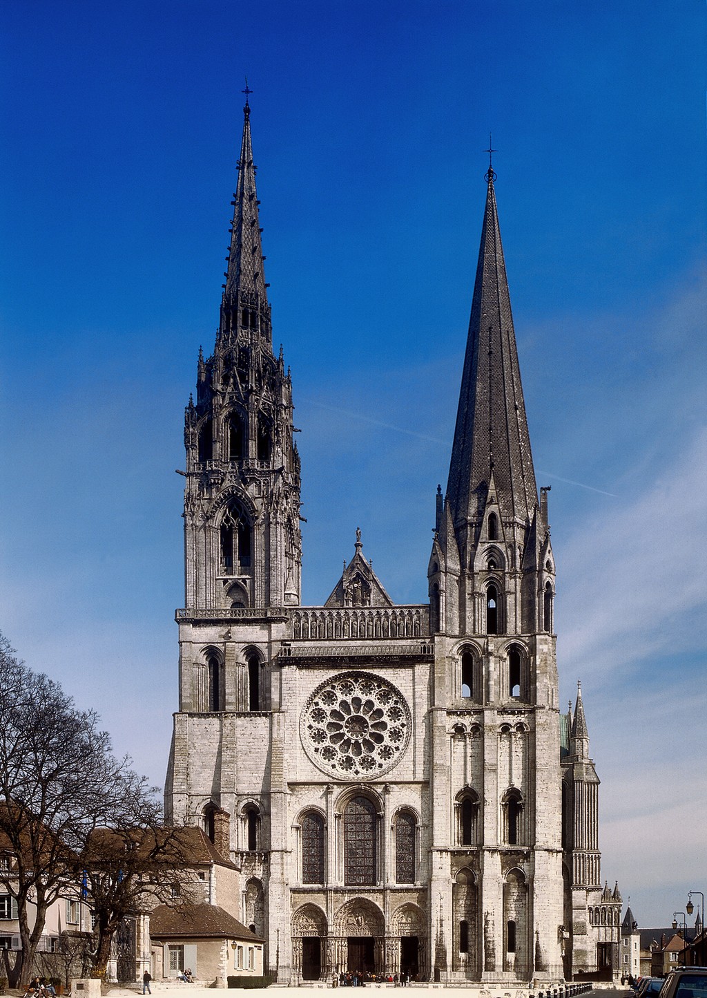 term image