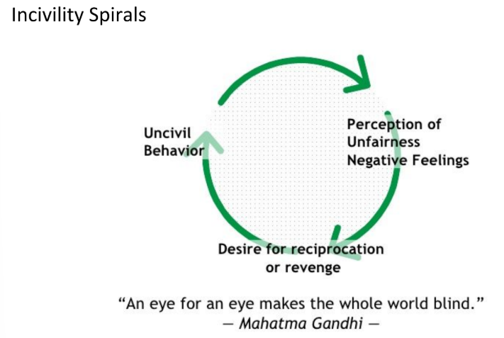 <ul><li><p>50% lose work time worrying about future interactions with instigators of incivility.</p></li><li><p>50% contemplate changing jobs.</p></li><li><p>25% intentionally cut back work efforts.</p></li><li><p>70% tell friends, family, and colleagues about their dissatisfaction.</p></li><li><p>1 in 8 leave their jobs</p></li></ul><p></p>