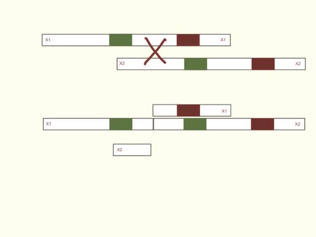 <p>Misalignment of chromosomes during cross over, results in the partial deletion of one chromosome and the partial duplication of another </p>