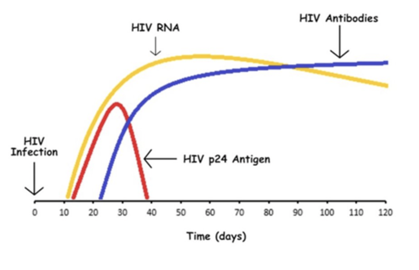 <p>LOW CD4 and HIGH viral load </p>