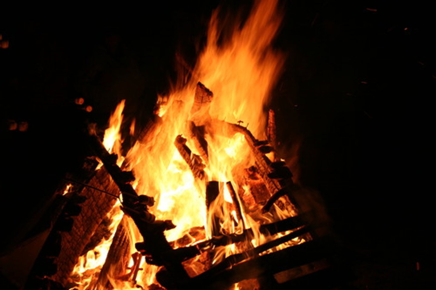 <p>to destroy/kill a thing or person by burning it/him/her/them</p>