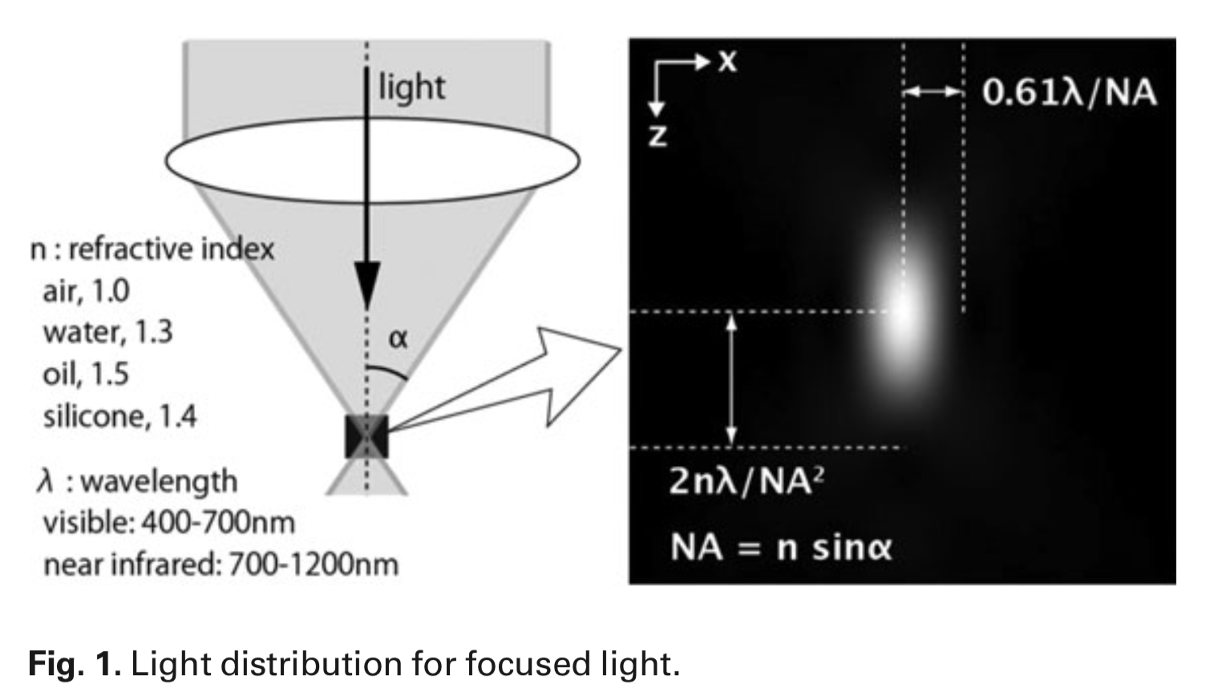 <ul><li><p>limit of resolution </p></li><li><p>forms a spread-out image</p><ul><li><p>with the point source being the centre of the PSF</p></li></ul></li></ul><p>What dependent on:</p><ol><li><p>refractive index</p></li><li><p>wavelength</p></li><li><p>numerical aperture of objective</p></li><li><p>optical properties</p></li></ol><p></p>