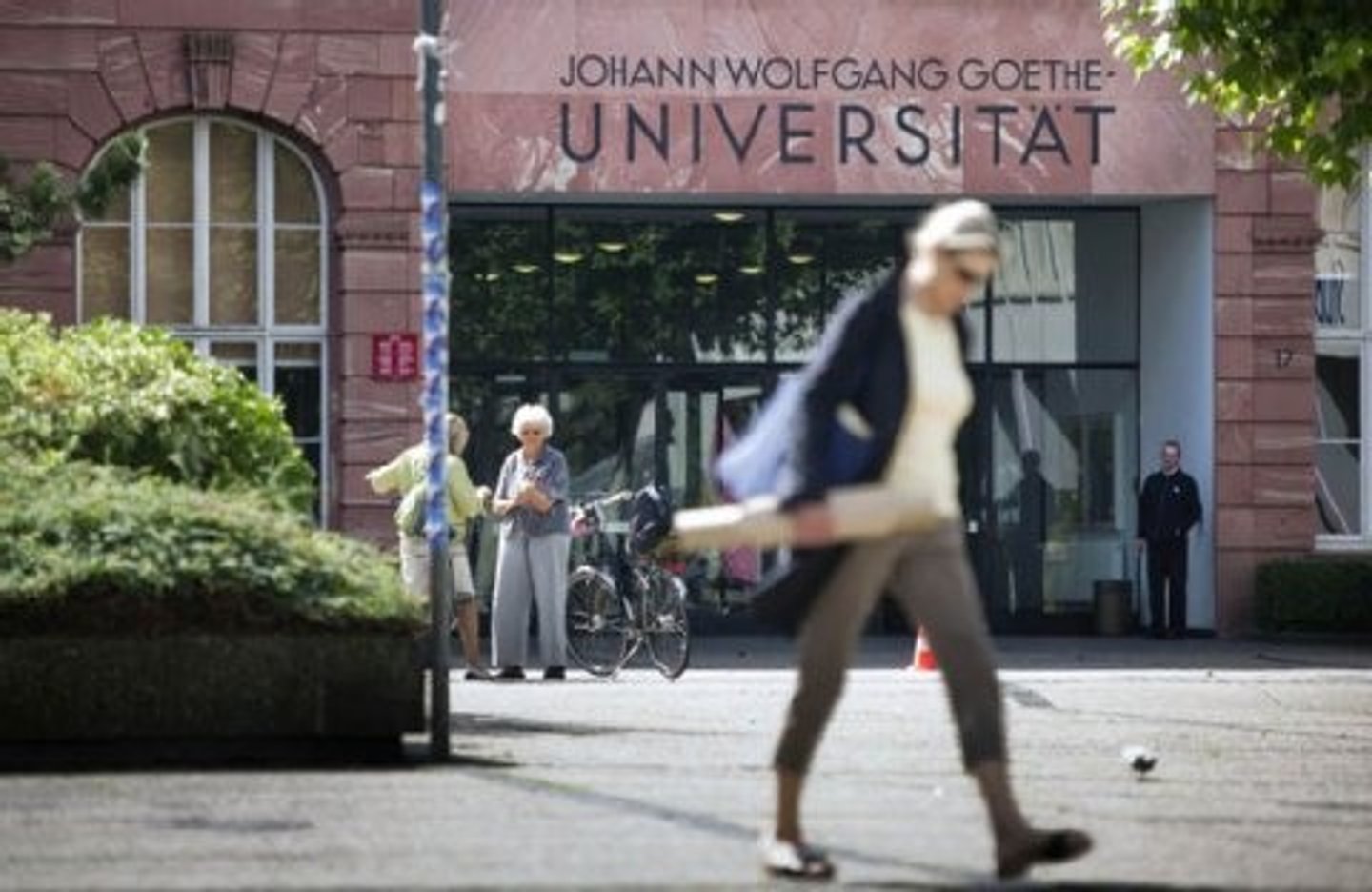 <p>university</p>