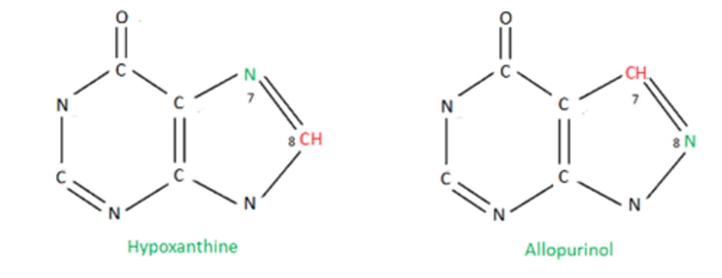 <p>analogue de l'hypoxanthine : allopurinol</p><p>=&gt; isomère de position : atomes 7 et 8</p>
