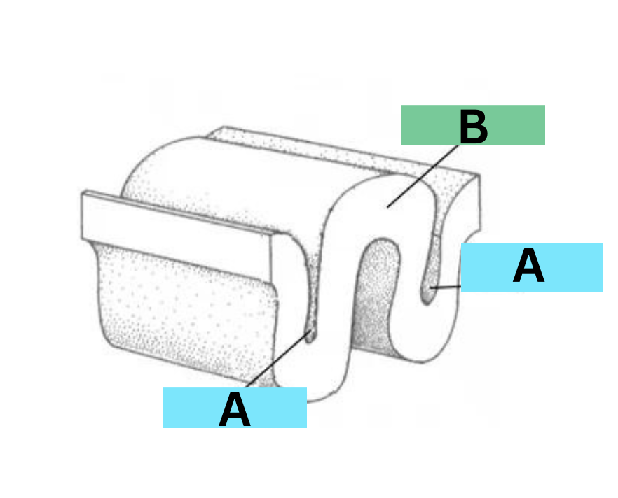 <p>label</p>