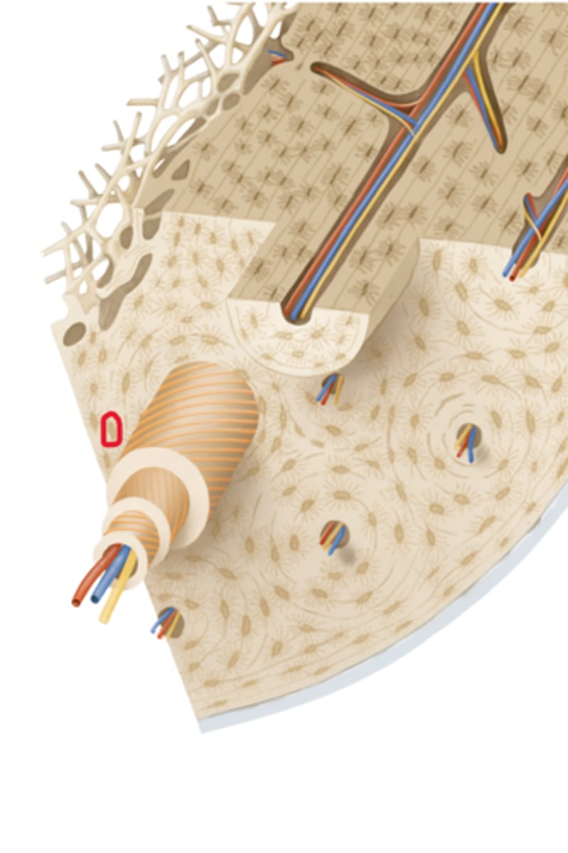 <p>What is circled here?</p>