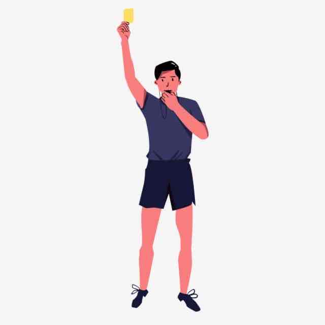 <p>referee (n)</p>
