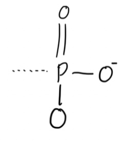 <p>Phosphoryl </p>