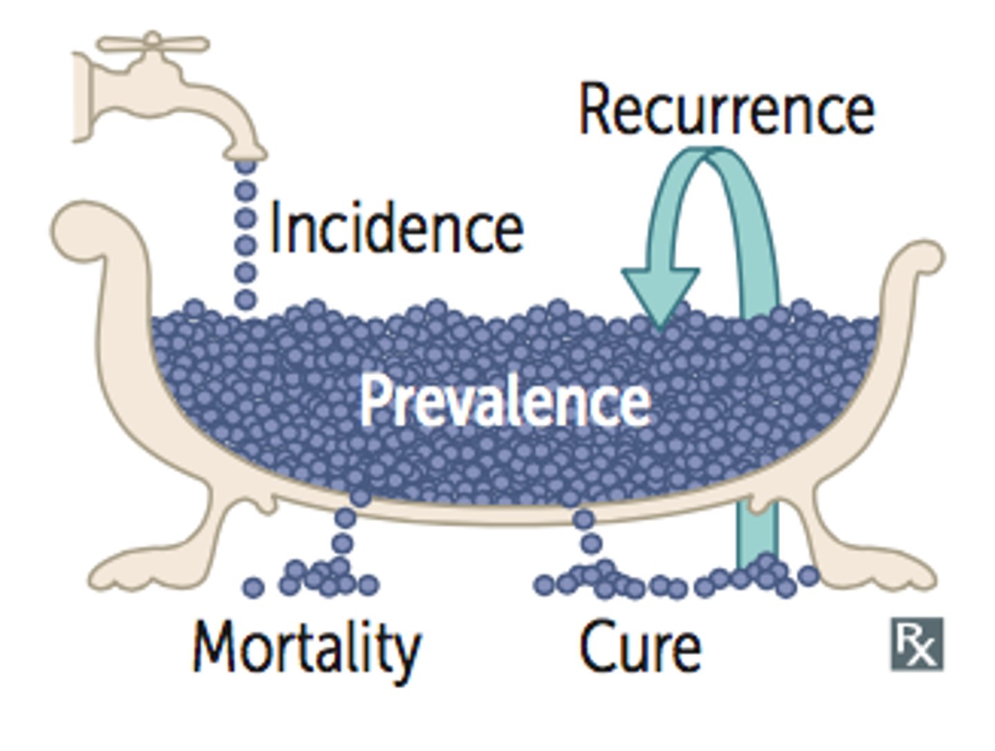 <p>•Proportion of patients with a condition in a population</p><p>•Total number of cases / Population</p>