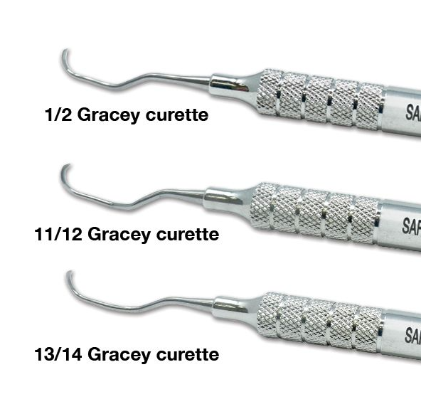 <p>Gracey 1 / 2 </p>