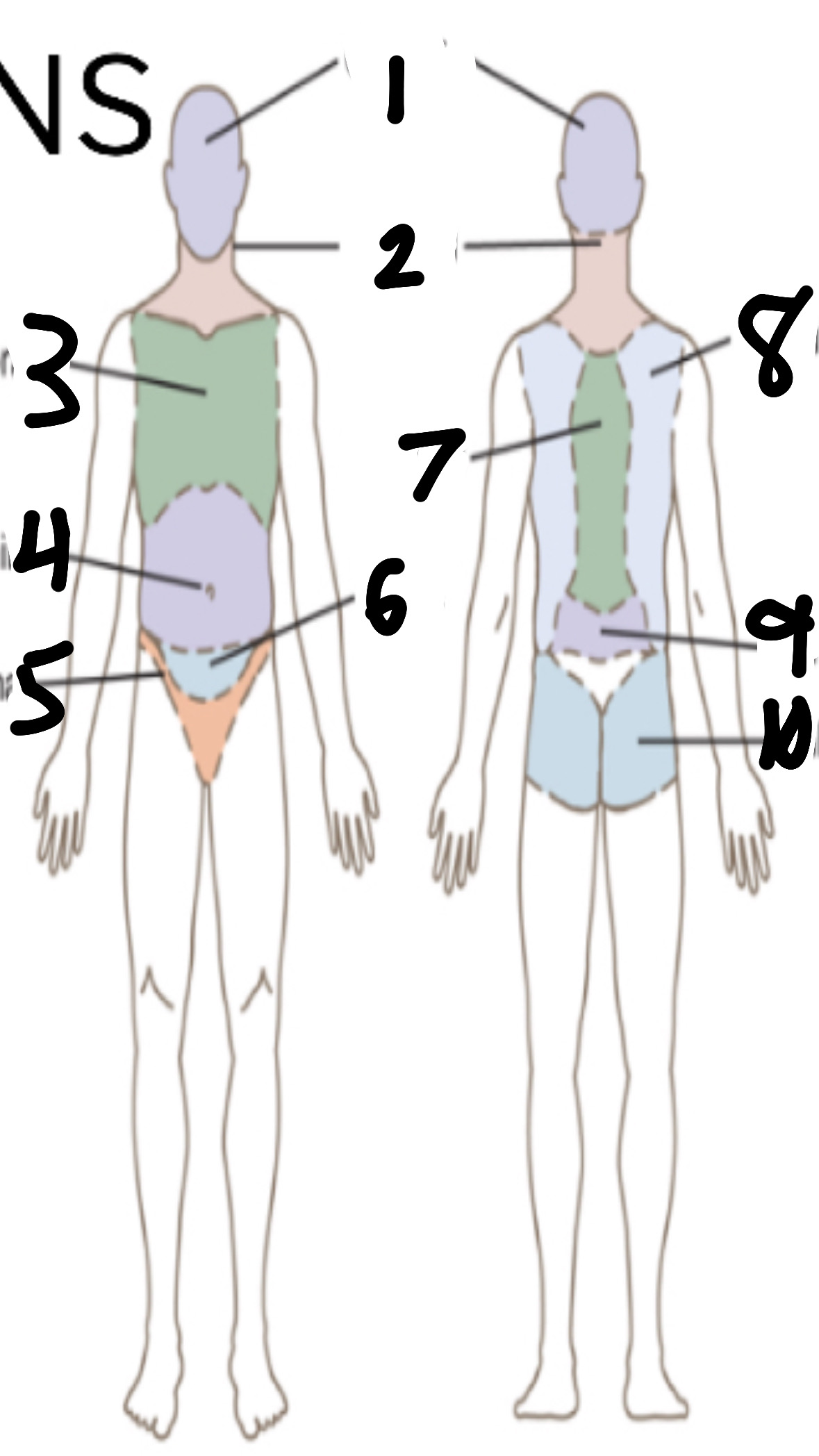 <p>What’s 5?</p>