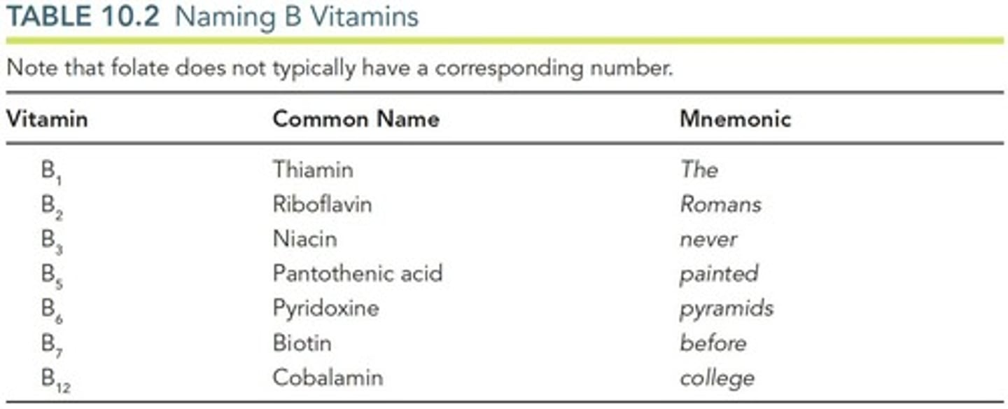 <p>B1 (Thiamin), B2 (Riboflavin), B3 (Niacin), B5 (Pantothenic Acid), B6 (Pyridoxine), B7 (Biotin), B9 (Folate), and B12 (Cobalamin).</p>
