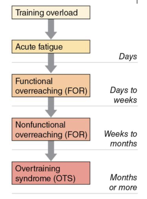 <ul><li><p>Excessive overload w/ inadequate recover → accumulated training stress</p></li><li><p>signs & symptoms:</p><ul><li><p>extreme fatigue, illness, injury, hormone disturbance</p></li></ul></li><li><p>Long-term performance losses</p></li></ul><p></p>