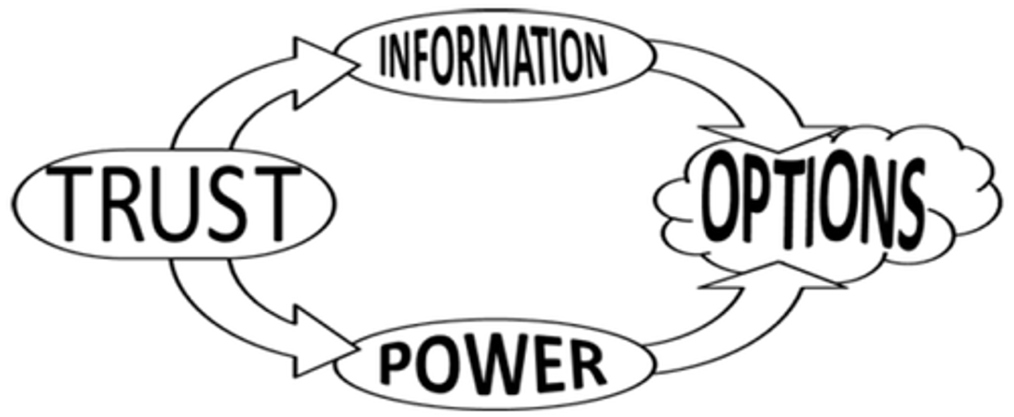 <p>-Trust (process/personal)</p><p>-Information (Yours/theirs)</p><p>-Power (With/other)</p><p>-Options (One/many)</p>