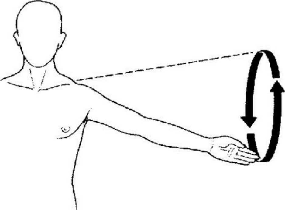 <p>the movement of a limb in a circle. can be limbs, fingers, or a hand in a circular pattern</p>