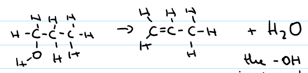 <p>the -OH group is lost together with a H atom from the <strong>next</strong> carbon atom to form water</p>