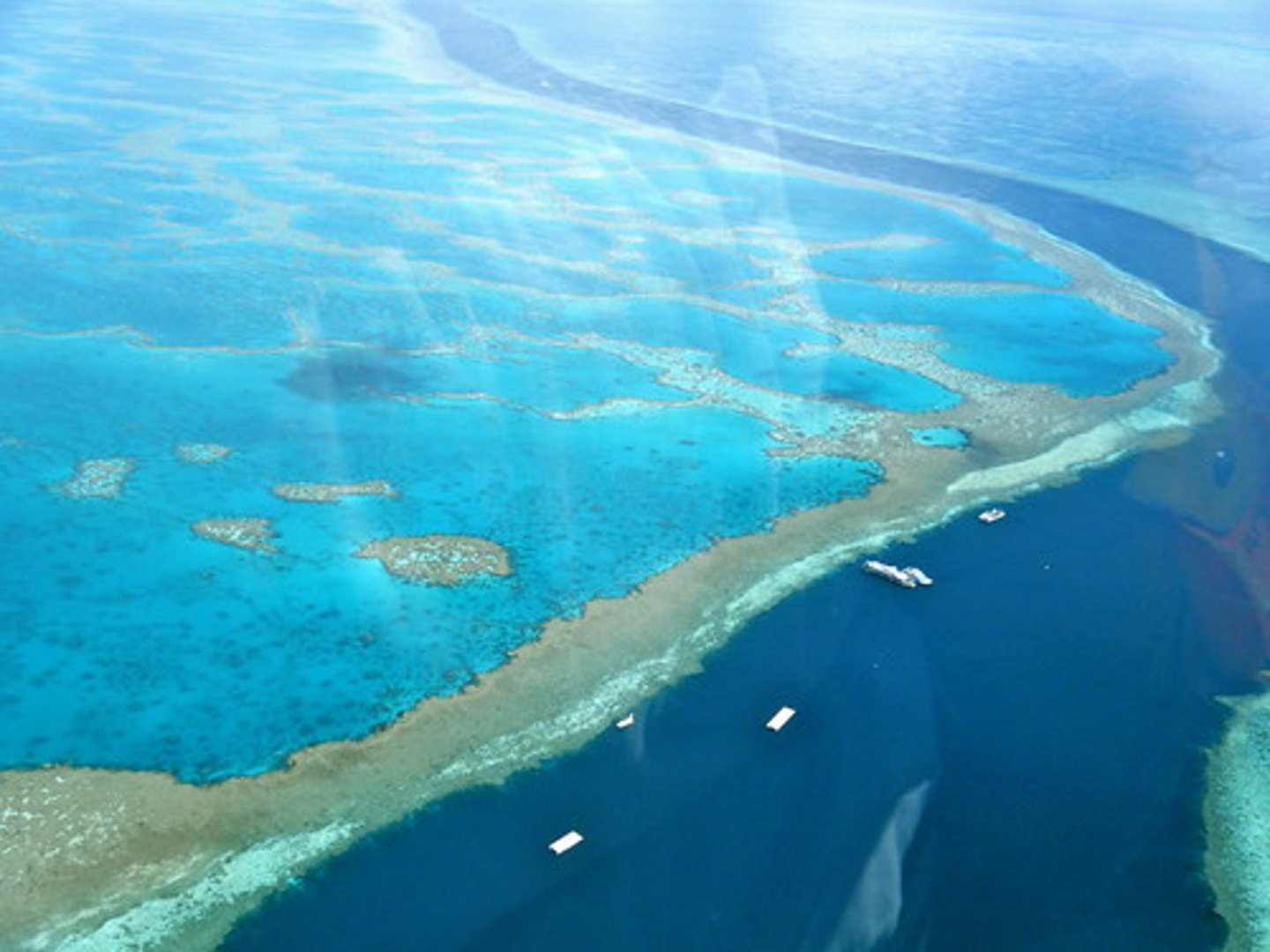 <p>A coral reef separated from shore by a lagoon</p>