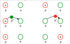 <p>The exchange particle of the strong nuclear force</p>