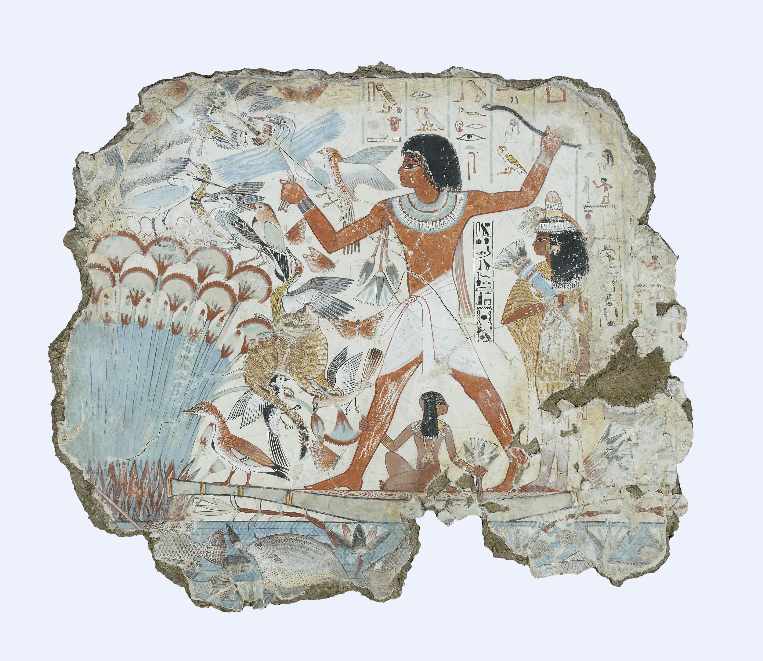 term image