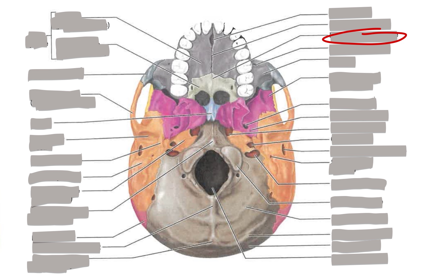 term image