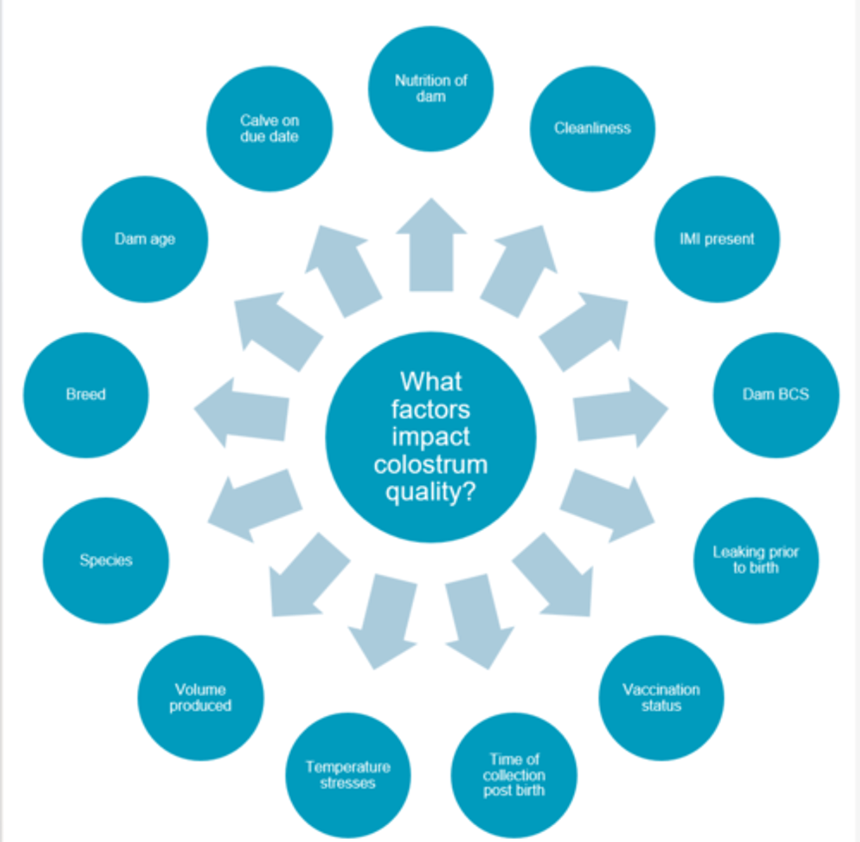 <ul><li><p>nutrition of dam</p></li><li><p>cleanliness</p></li><li><p>IMI present</p></li><li><p>dam bcs</p></li><li><p>leaking prior to birth</p></li><li><p>vacc status</p></li><li><p>time of collection post birth</p></li><li><p>temp stressers</p></li><li><p>vol produced</p></li><li><p>species</p></li><li><p>breed</p></li><li><p>dam age</p></li><li><p>calve on due date</p></li></ul><p></p>
