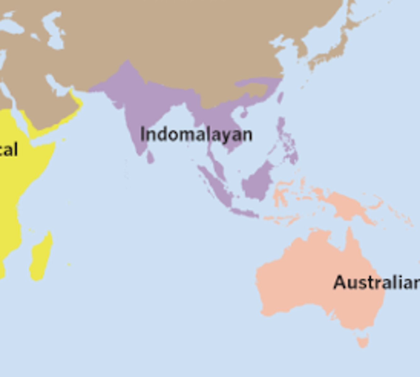 <p>India + Southeast Asia</p>