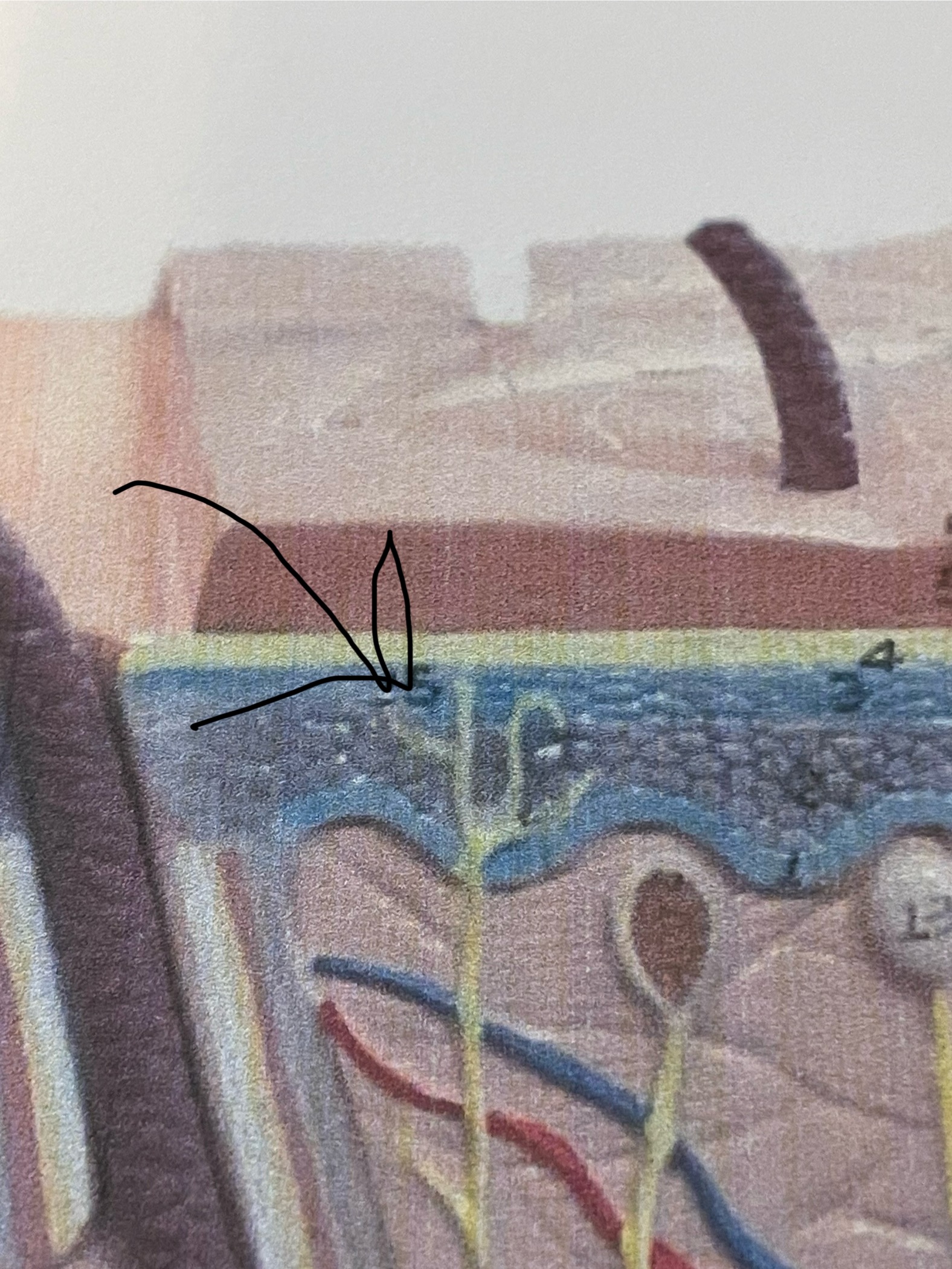 knowt flashcard image