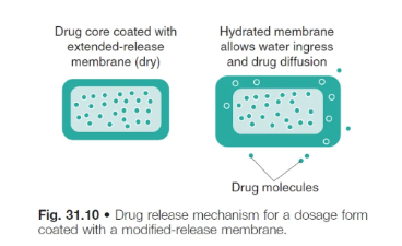 <ul><li><p>it is controlled by the <strong>thickness and porosity</strong> of the <u>membrane</u> through which the drug must <em>diffuse</em> (rather diffusing through the whole matrix) and the <strong>solubility </strong>of the<strong> </strong><u>drug</u> in the GI fluids</p></li></ul><p></p>